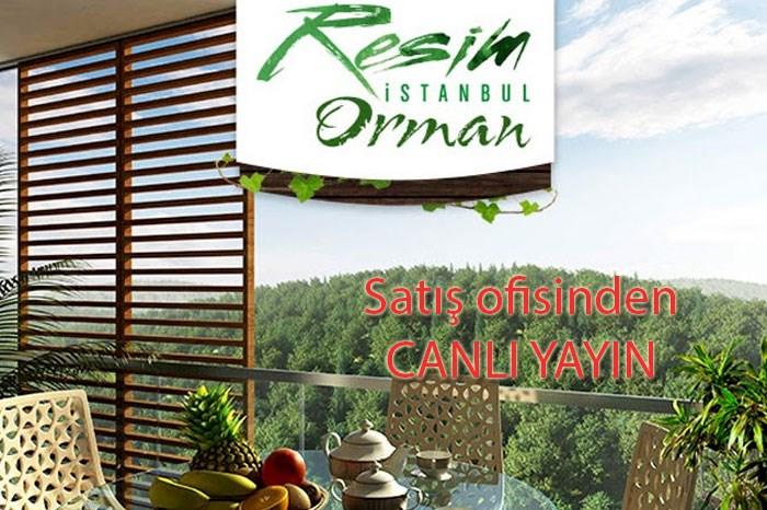 Resim İstanbul Orman - 