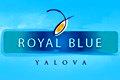 Royal Blue Yalova